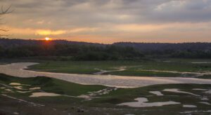 Sunrise at Damdama_ lake